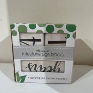 Age blocks for little ones